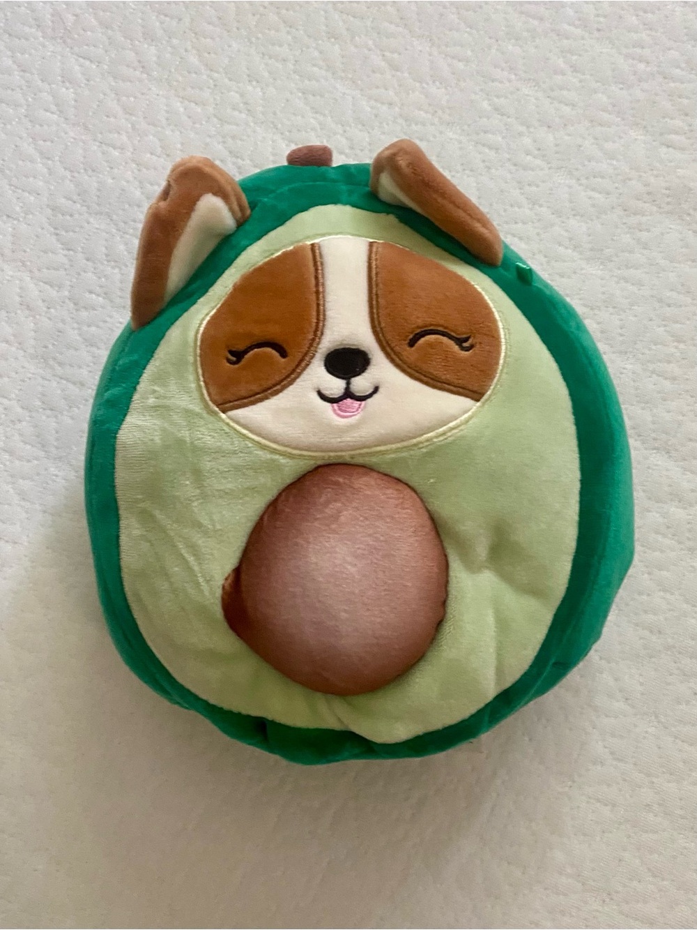 Regina the corgi in an avocado costume squishmallows